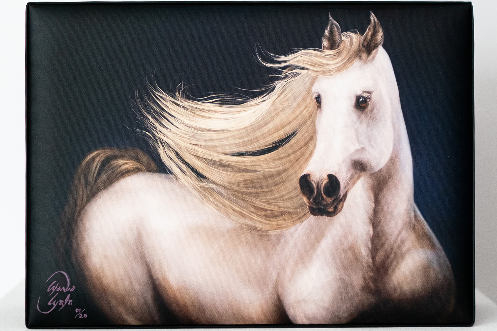 CAJA 06A-ARABIAN MARE